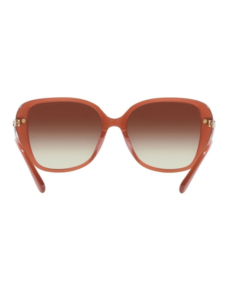 Flatiron Sunglasses in Brown image 7