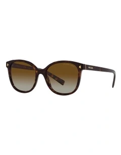 PR 22ZS Tortoise Polarised Sunglasses in Brown