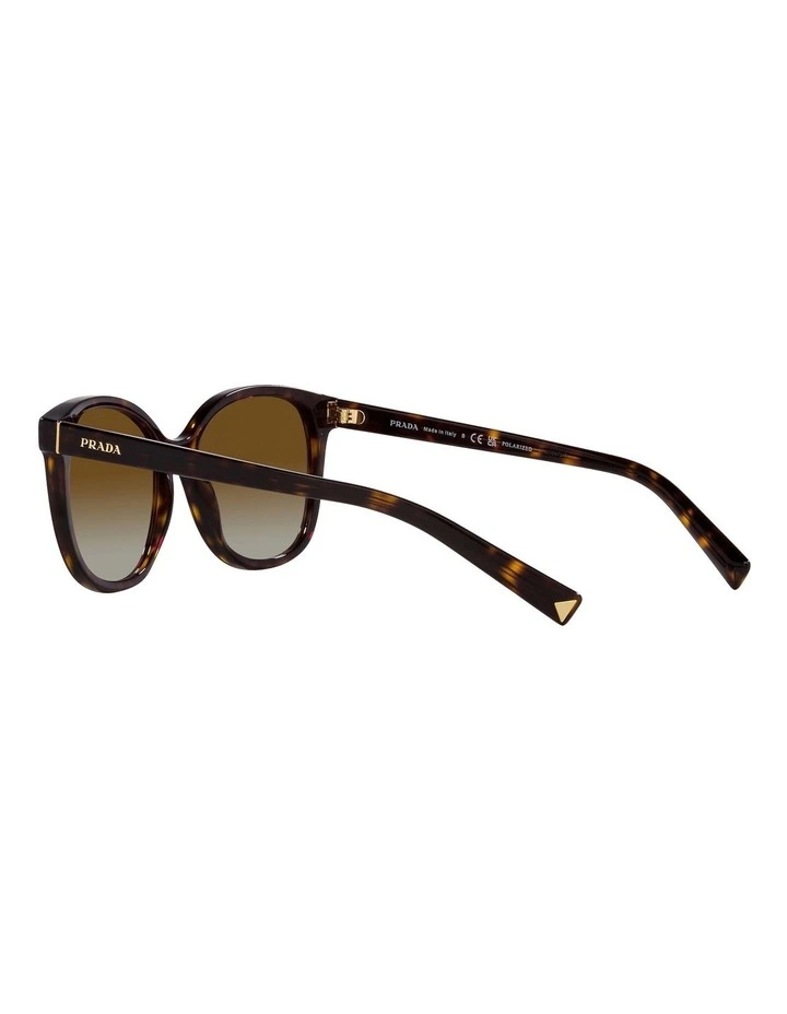 PR 22ZS Tortoise Polarised Sunglasses in Brown image 5