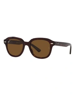 Erik Polarised Sunglasses in Tortoise