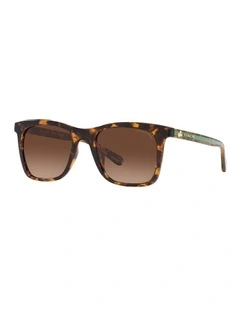 0HC8374U Tortoise Polarised Sunglasses in Brown