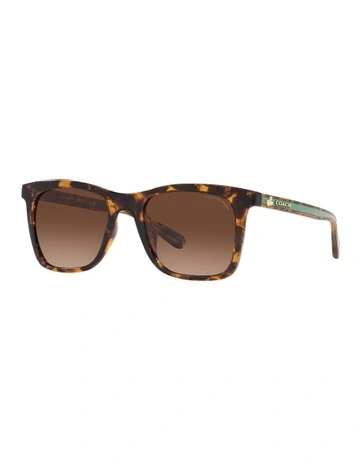 0HC8374U Tortoise Polarised Sunglasses in Brown