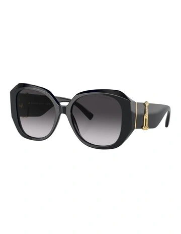 TF4207BF Sunglasses in Black