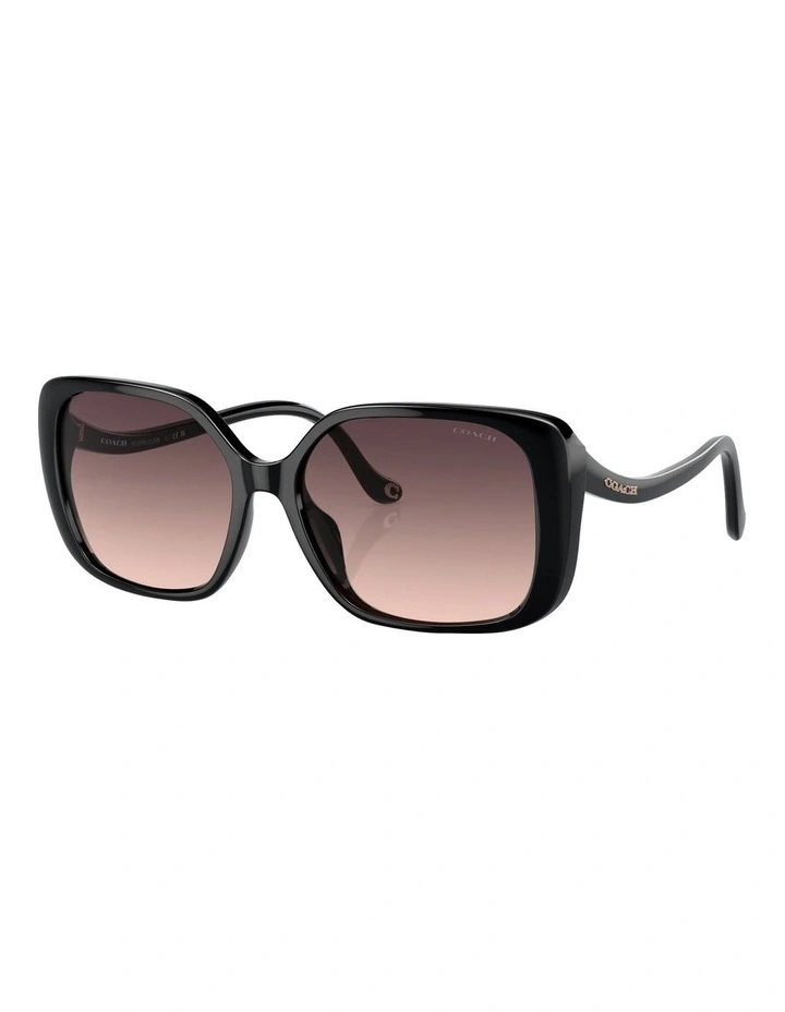 CL929 Sunglasses in Black image 1