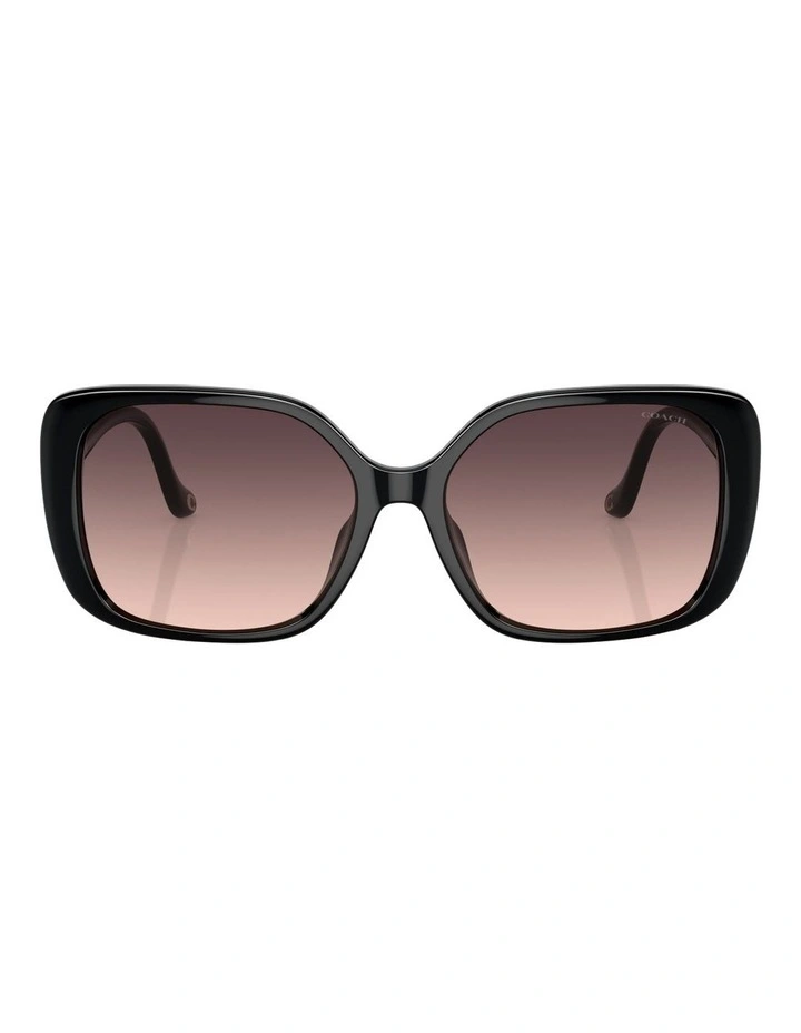 CL929 Sunglasses in Black image 2