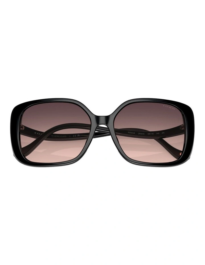 CL929 Sunglasses in Black image 5