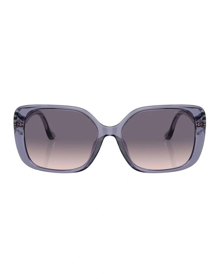CL929 Sunglasses in Violet image 2