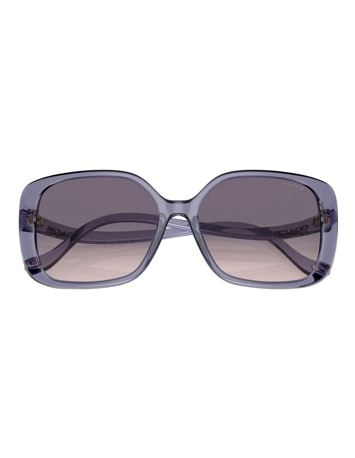CL929 Sunglasses in Violet image 5