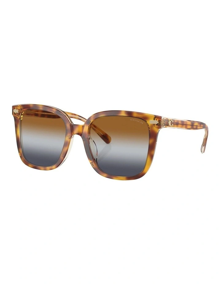 Coach CL918 54mm Sunglasses In Brown image 1