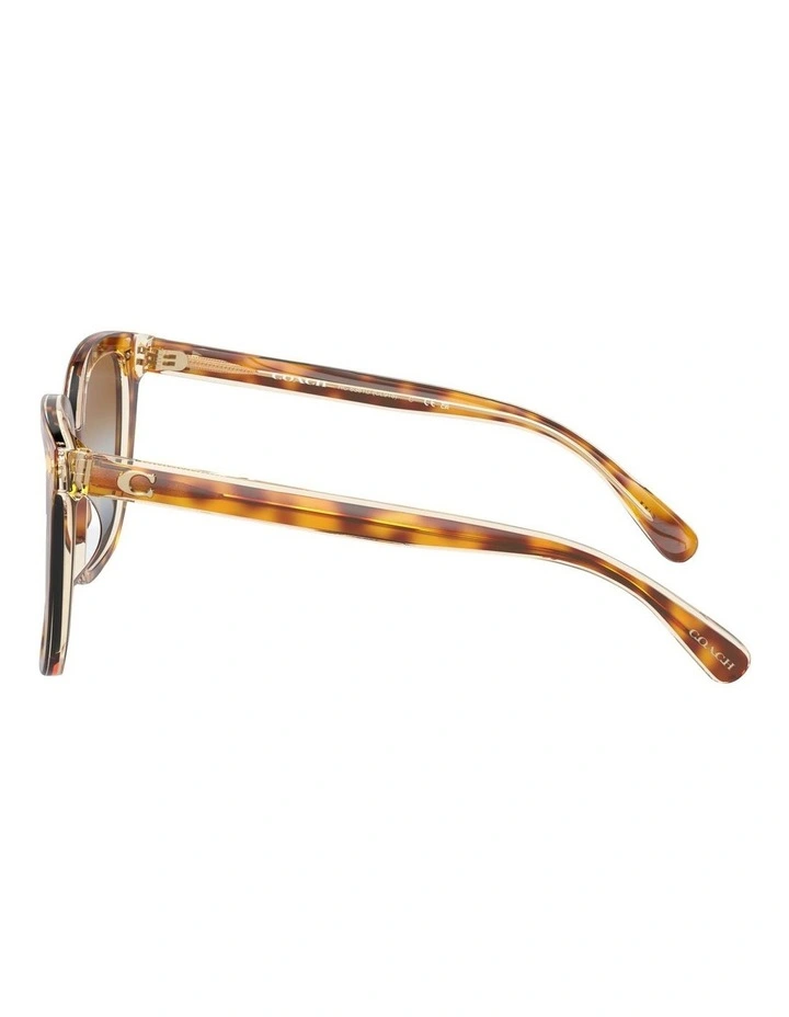 Coach CL918 54mm Sunglasses In Brown image 3