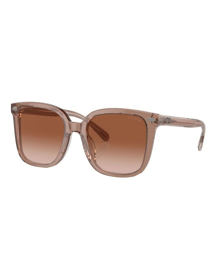 Coach Square CL918 Sunglasses In Brown image 1