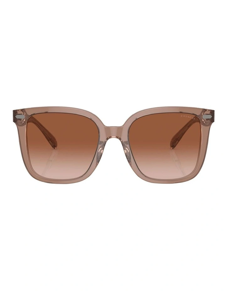 Coach Square CL918 Sunglasses In Brown image 2