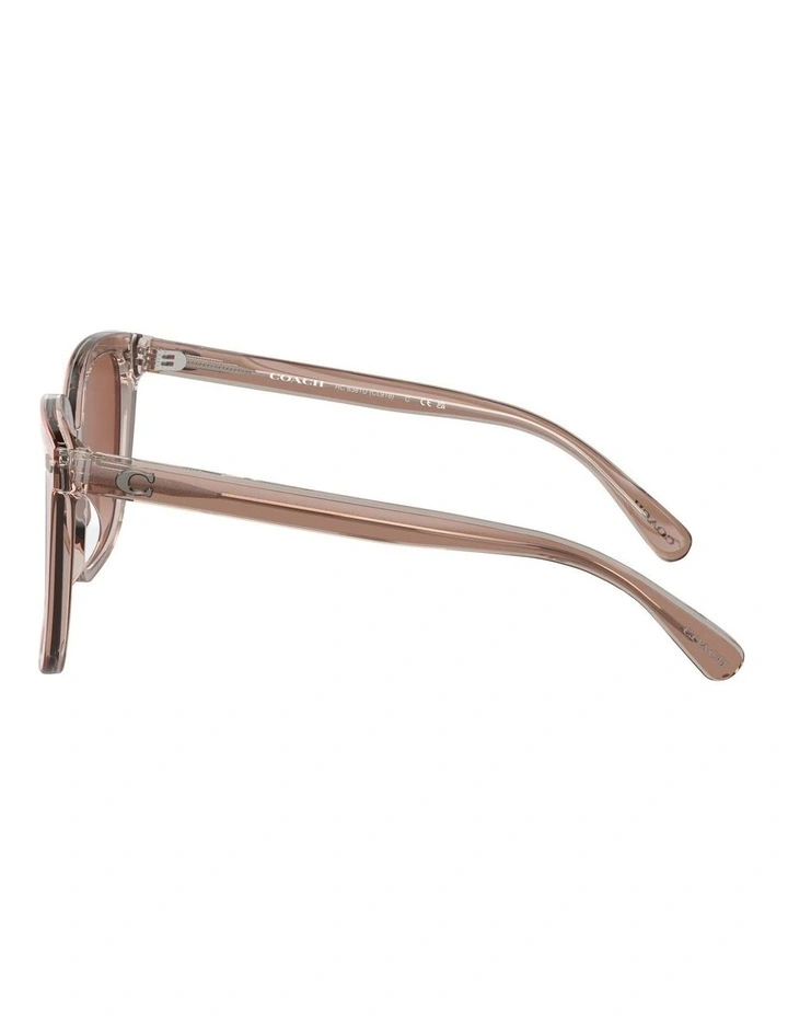 Coach Square CL918 Sunglasses In Brown image 3