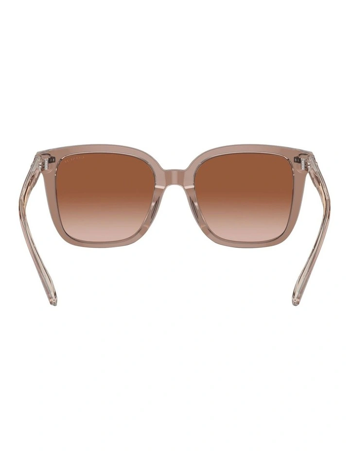 Coach Square CL918 Sunglasses In Brown image 4