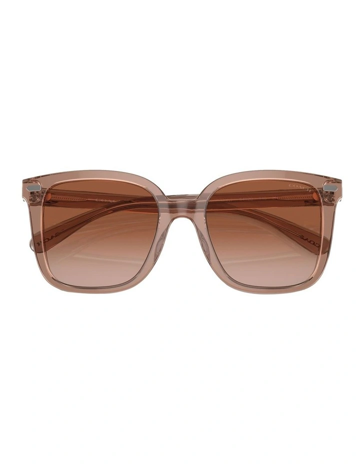 Coach Square CL918 Sunglasses In Brown image 5