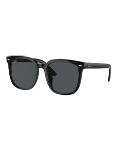 RB4401D Year Of The Dragon Edition Sunglasses in Black