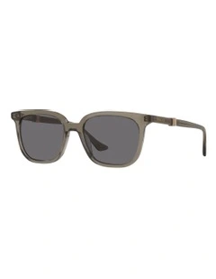 GG1493S Brown Sunglasses