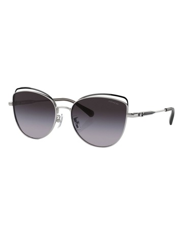 Shiny Silver/Black colour