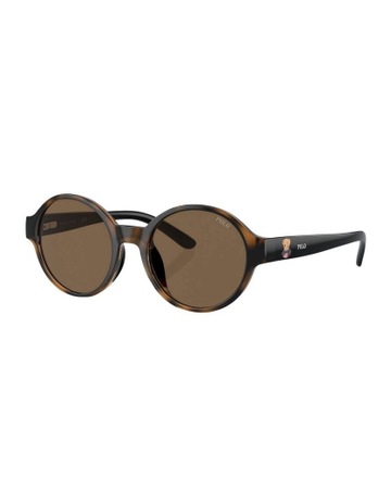 Shiny Dark Havana colour