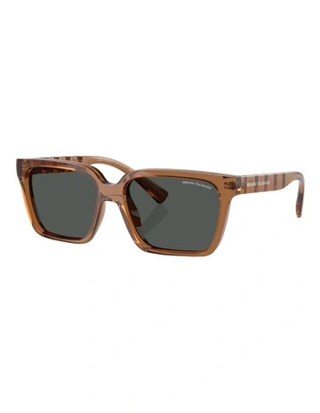 Injected Sunglasses in Brown