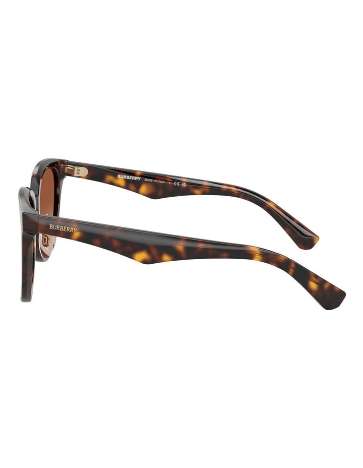 Burberry Acetate Sunglasses in Brown image 3