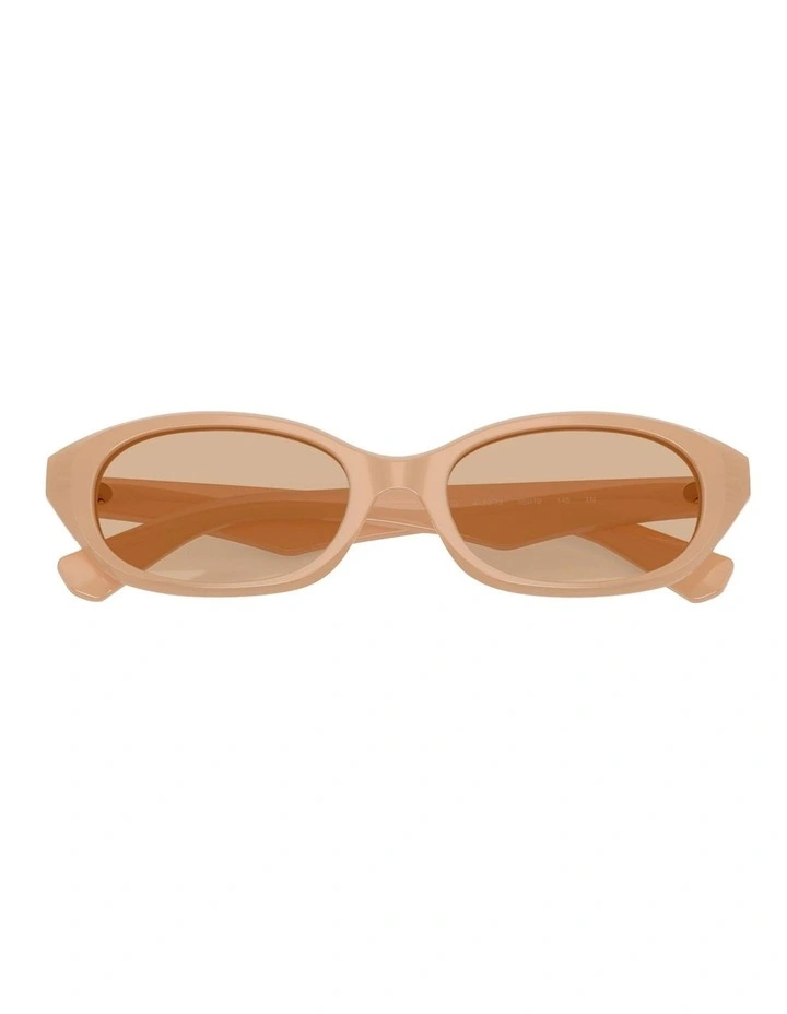 Burberry Acetate Sunglasses in Beige image 5