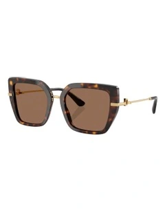 Dolce&Gabbana  Acetate Sunglasses in Tortoise