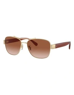 Metal Sunglasses CR617 in Gold