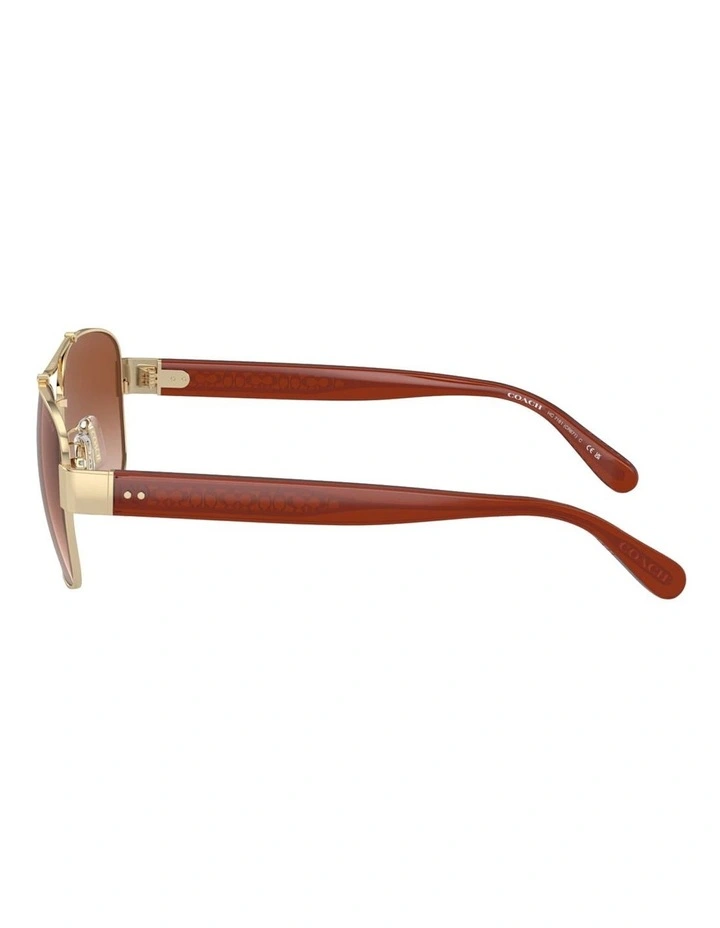 Metal Sunglasses CR617 in Gold image 3