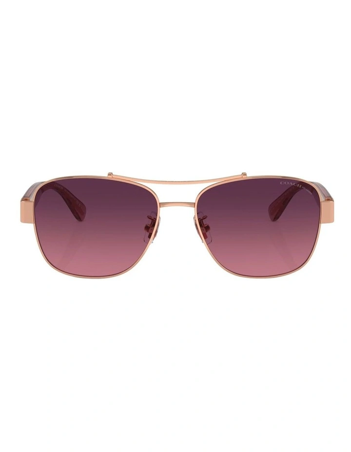 Metal Polarised Sunglasses CR617 in Gold image 2