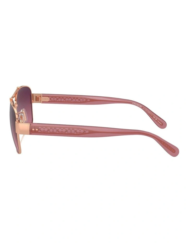 Metal Polarised Sunglasses CR617 in Gold image 3