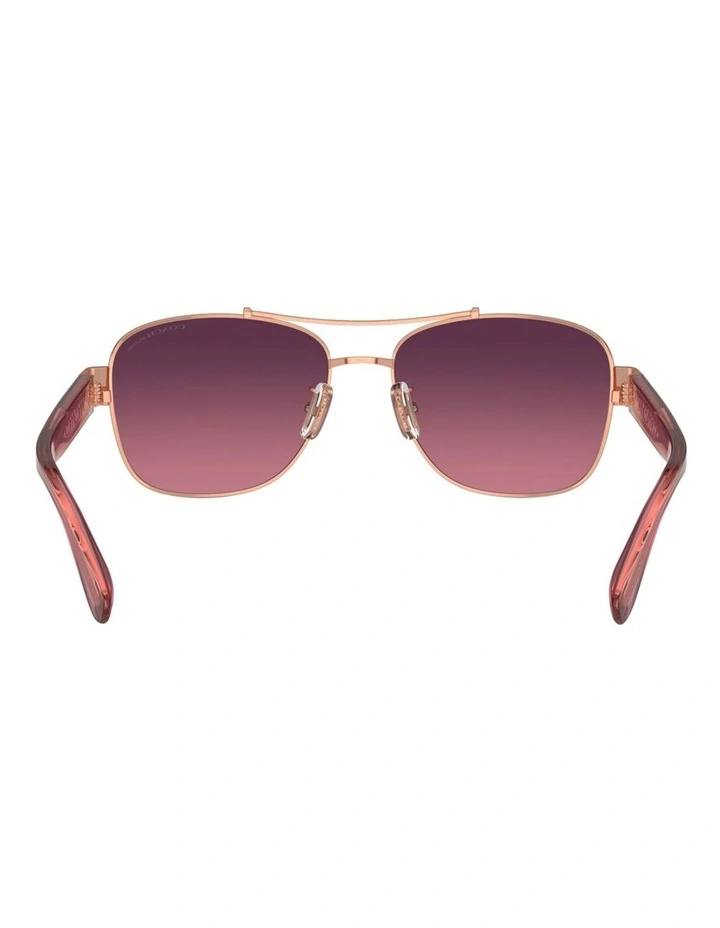 Metal Polarised Sunglasses CR617 in Gold image 4