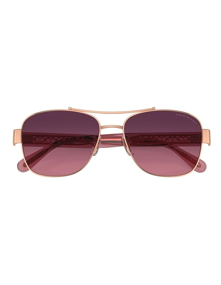 Metal Polarised Sunglasses CR617 in Gold image 5