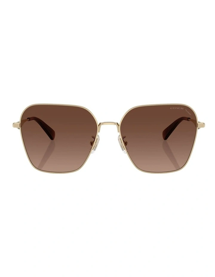 Metal Polarised Sunglasses CW189 in Gold image 2