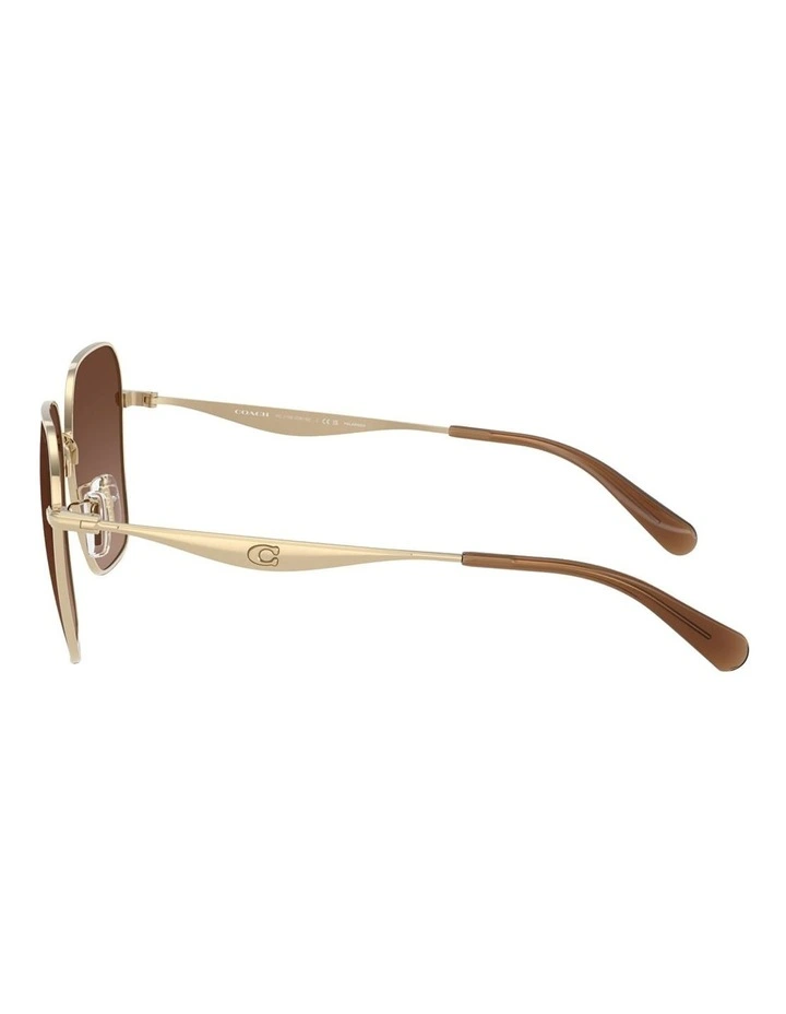 Metal Polarised Sunglasses CW189 in Gold image 3