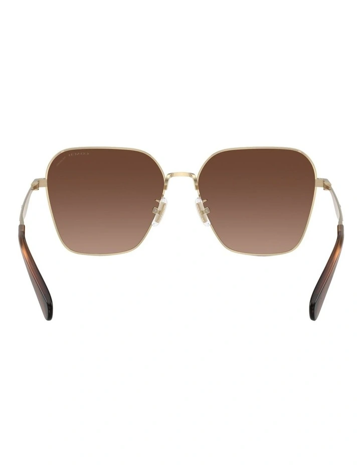Metal Polarised Sunglasses CW189 in Gold image 4