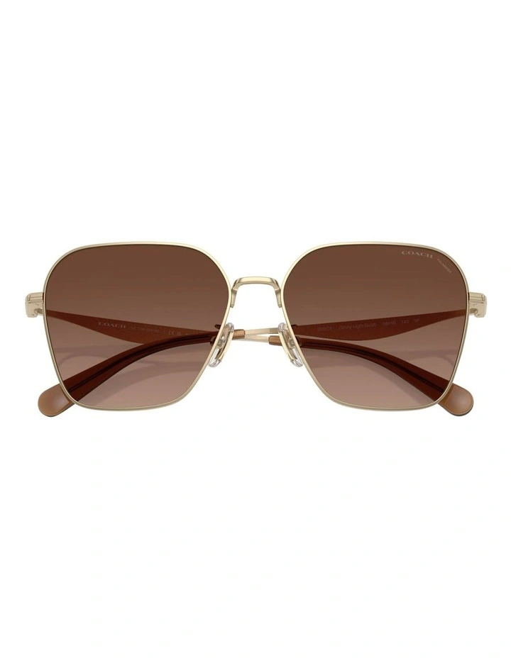 Metal Polarised Sunglasses CW189 in Gold image 5