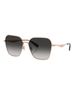 Coach CW189 Metal Sunglasses in Gold