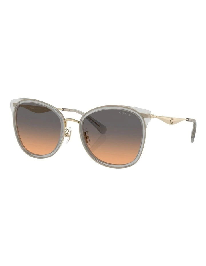 Coach CW185 Metal Sunglasses in Grey image 1