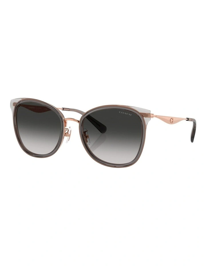 Coach CW185 Metal Sunglasses in Grey image 1