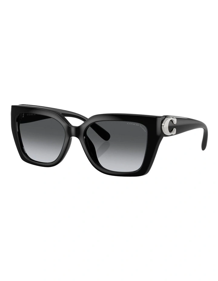 Coach CW195 Injected Polarised Sunglasses in Black image 1