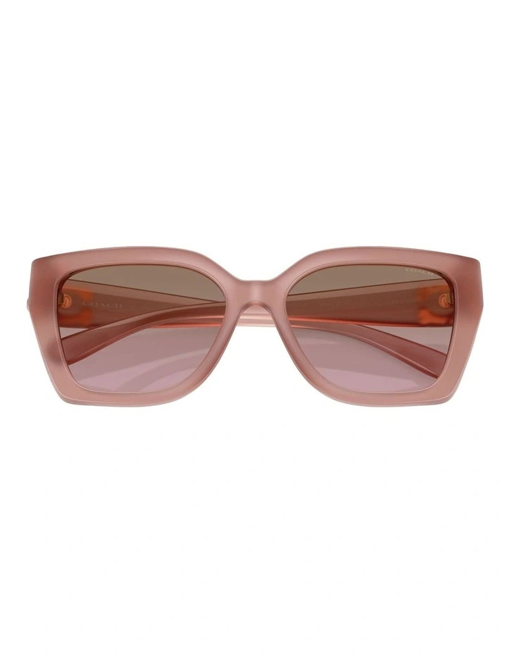 Coach CW195 Injected Sunglasses in Pink image 5