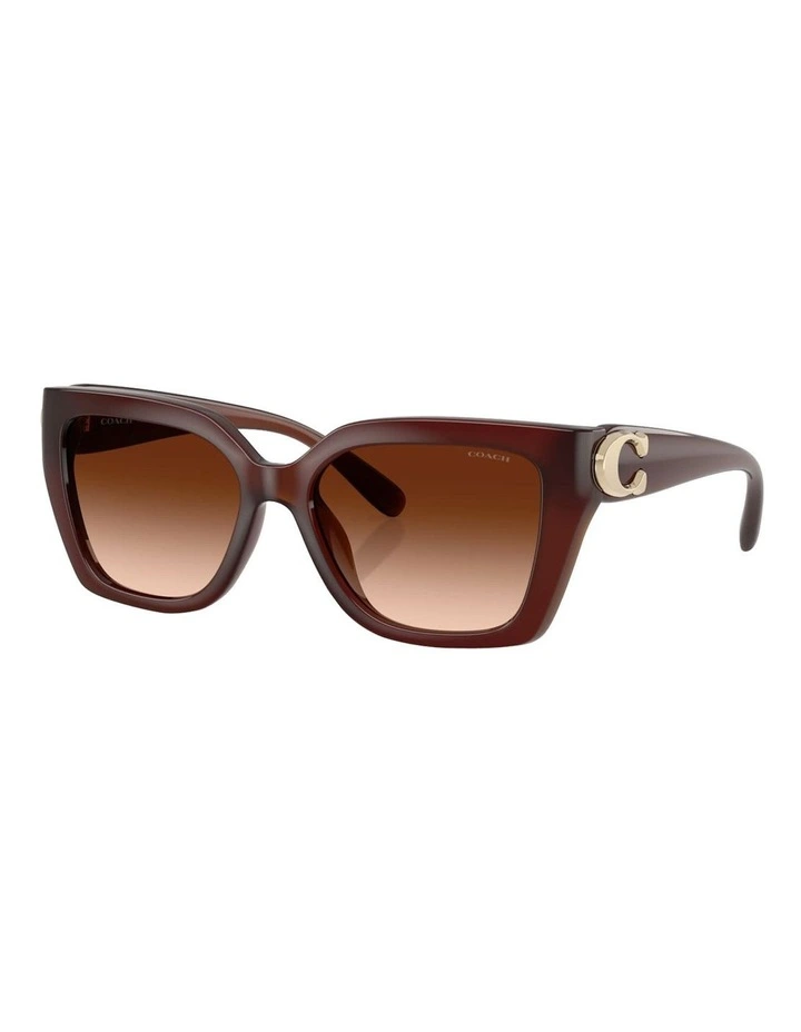 Coach CW195 Injected Sunglasses in Brown image 1