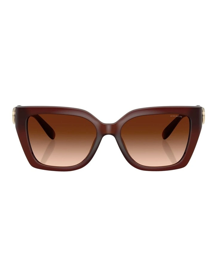 Coach CW195 Injected Sunglasses in Brown image 2