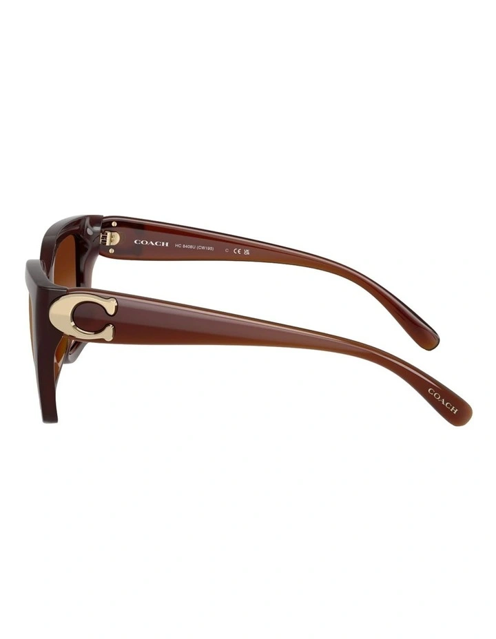 Coach CW195 Injected Sunglasses in Brown image 3