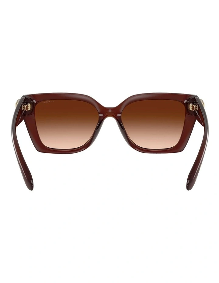 Coach CW195 Injected Sunglasses in Brown image 4