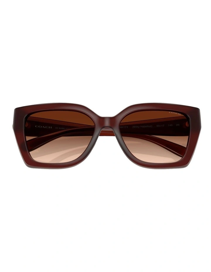 Coach CW195 Injected Sunglasses in Brown image 5
