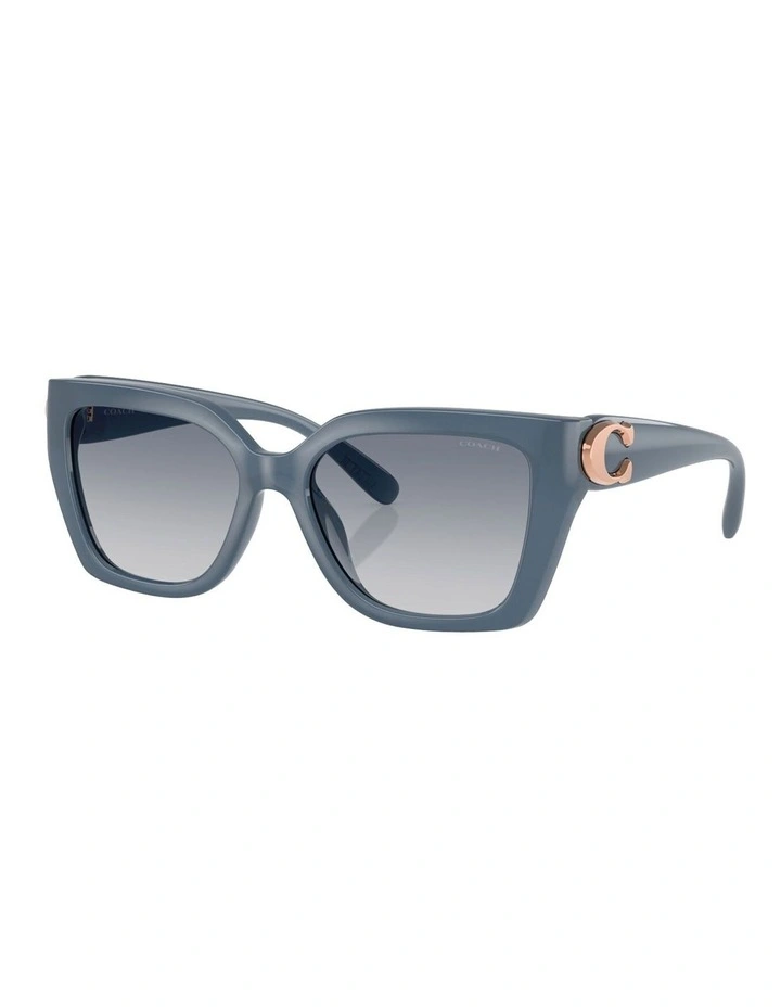 Coach CW195 Injected Sunglasses in Blue image 1
