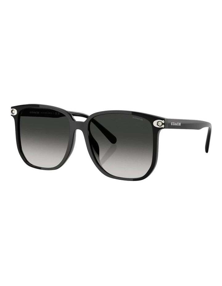 Coach CW419 Injected Sunglasses in Black image 1