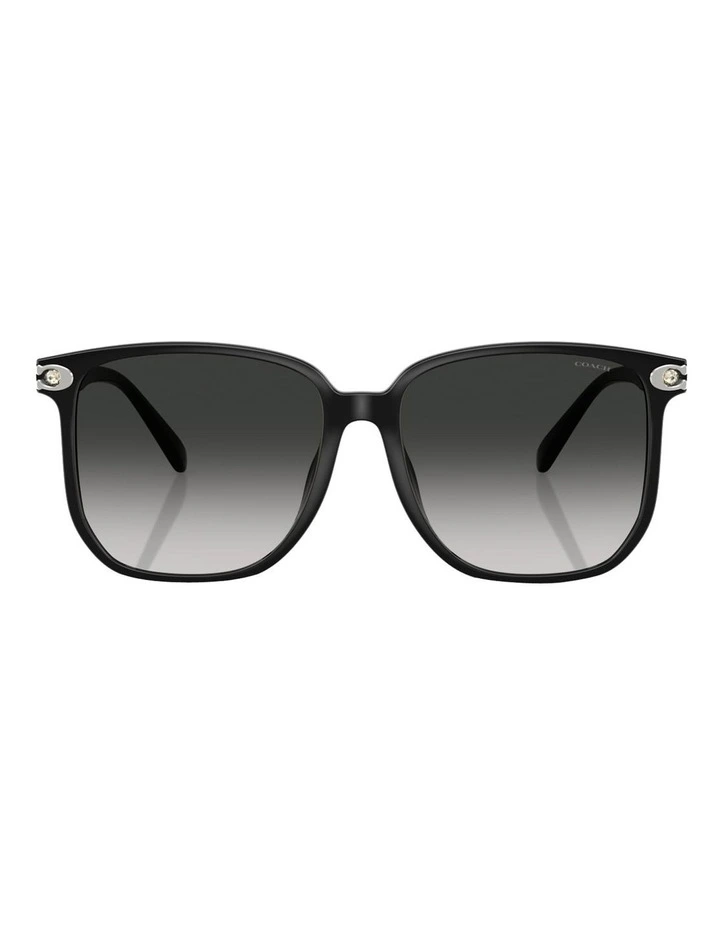 Coach CW419 Injected Sunglasses in Black image 2